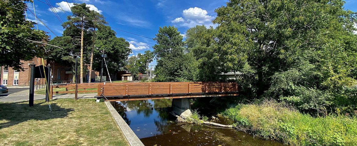 Computer Repair Serving Williamsville, NY Footbridge over Ellicott Creek at Island Park in Williamsville, NY